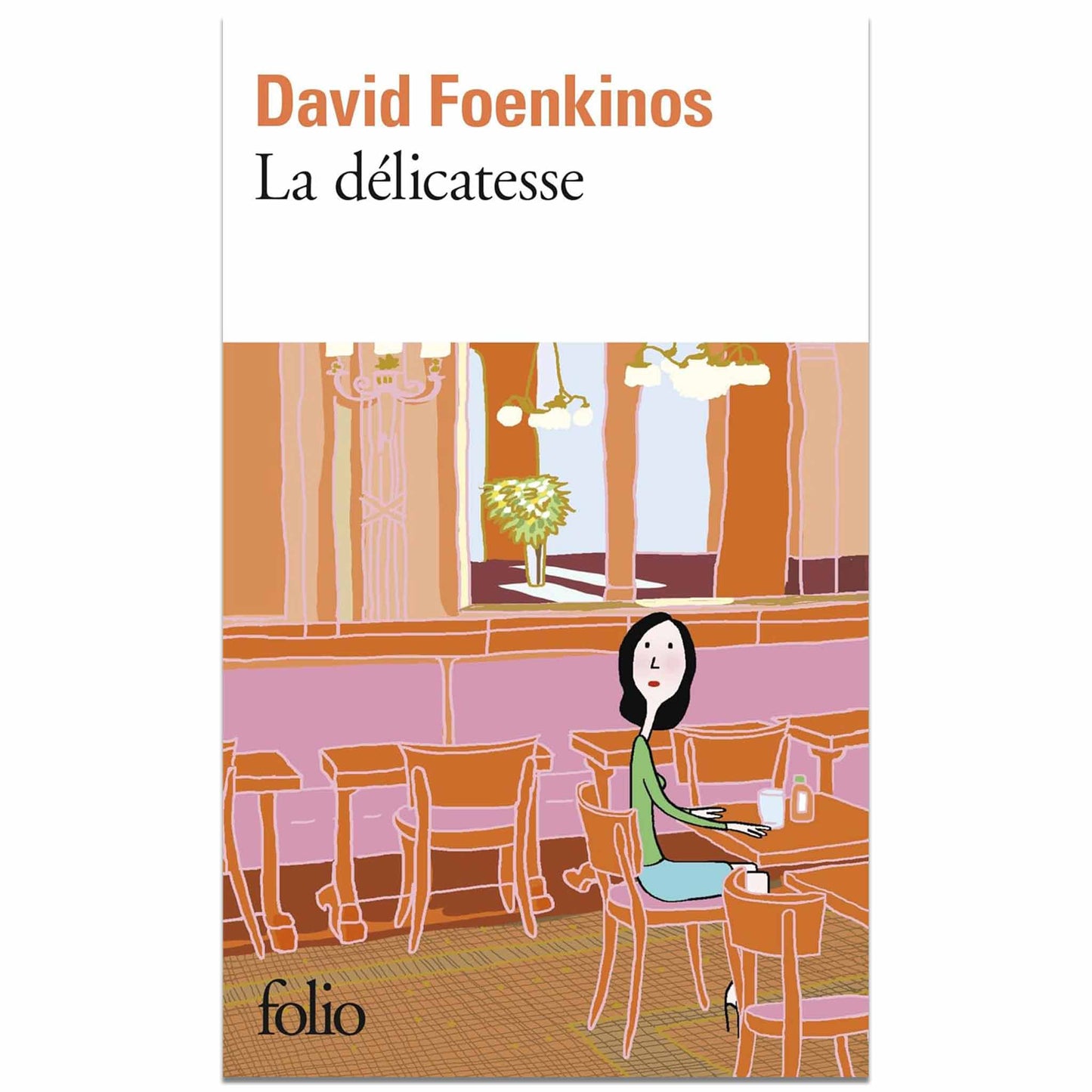 DAVID FOENKINOS - La délicatesse