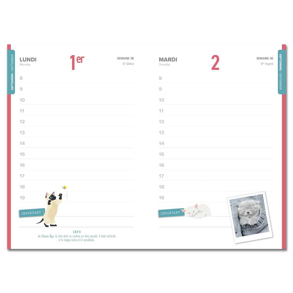 Agenda scolaire chats 2025-2026