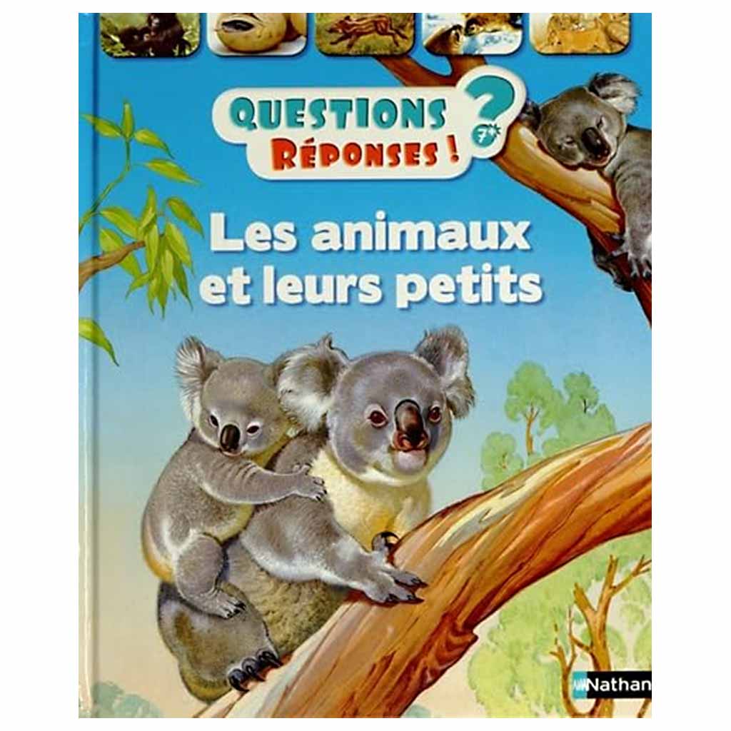 Questions ? Réponses ! LES ANIMAUX ET LEURS PETITS (7 à 12 ans)