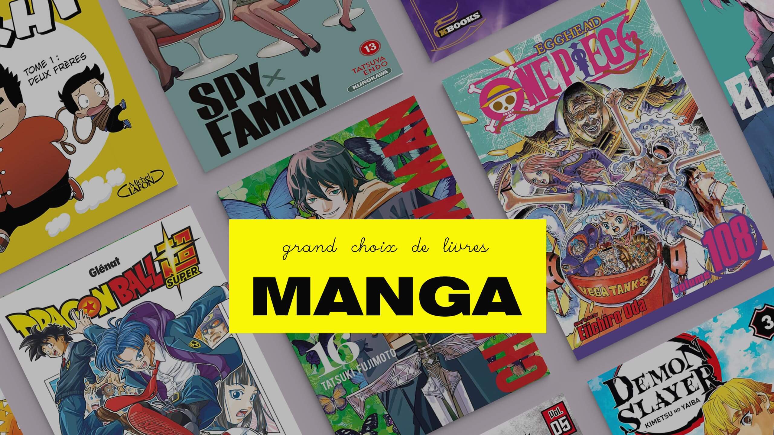Hero banner Manga book collection