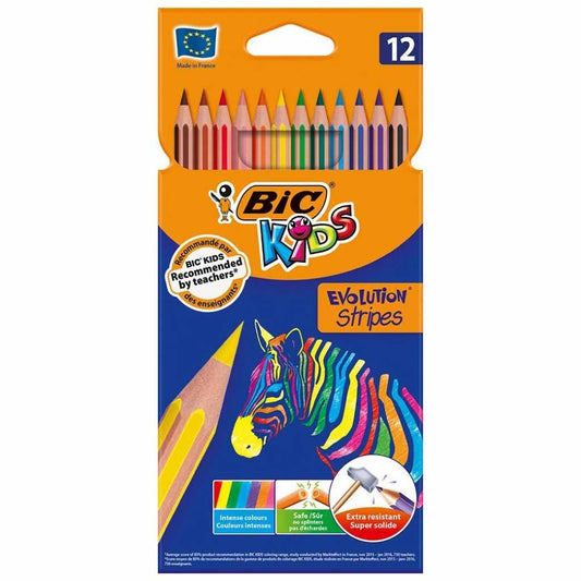 Coloured pencils x12 - BIC