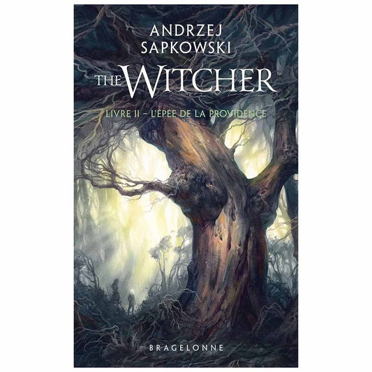 A. SAPKOWSKI - The Witcher Tome 2: L'Epée de la providence