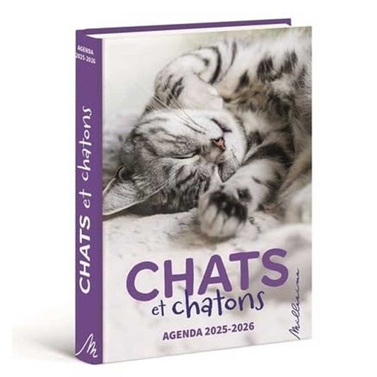 Agenda Chats et chatons 2025-2026