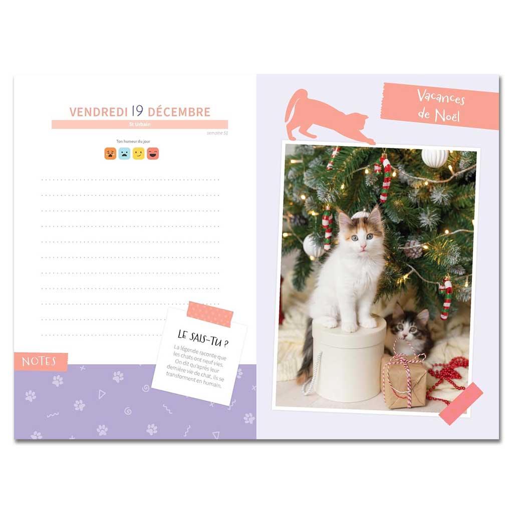 Agenda Chats et chatons 2025-2026