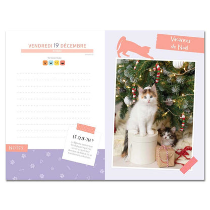 Agenda Chats et chatons 2025-2026
