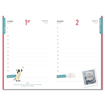 Agenda scolaire chats 2025-2026