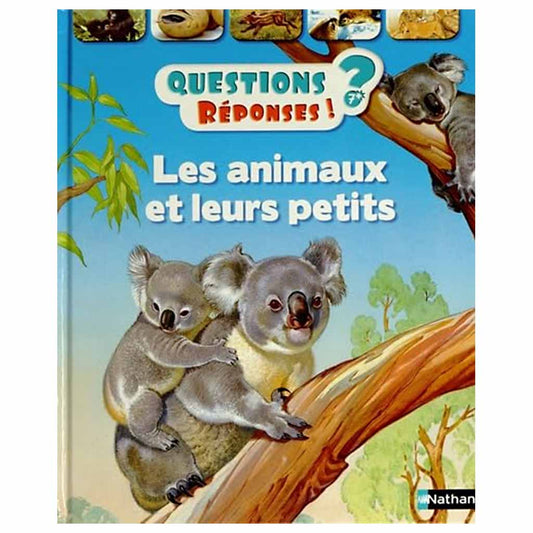 Questions ? Réponses ! LES ANIMAUX ET LEURS PETITS (7 à 12 ans)