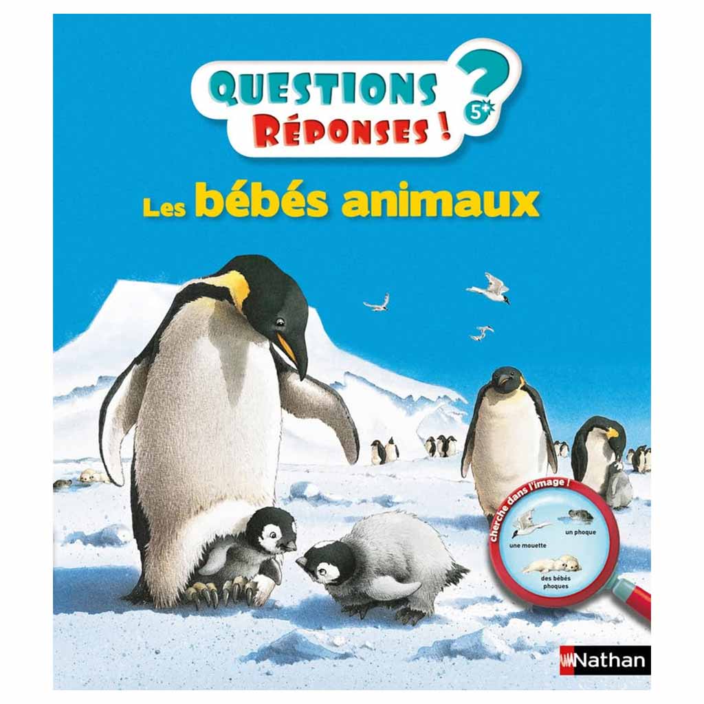 Questions ? Réponses ! LES BÉBÉS ANIMAUX (3 à 6 ans)