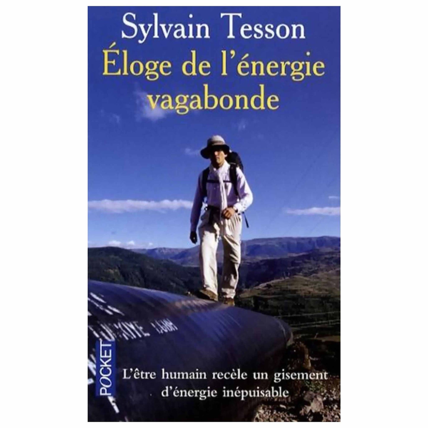 bookcover of Sylvain Tesson - Eloge de l'énergie vagabonde