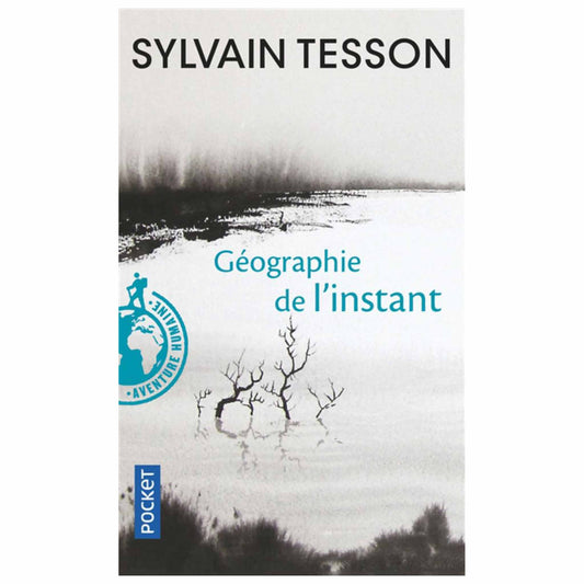 bookcover of Sylvain Tesson - Géographie de l'instant